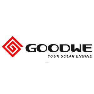 GOOGWEXT5000S-BP